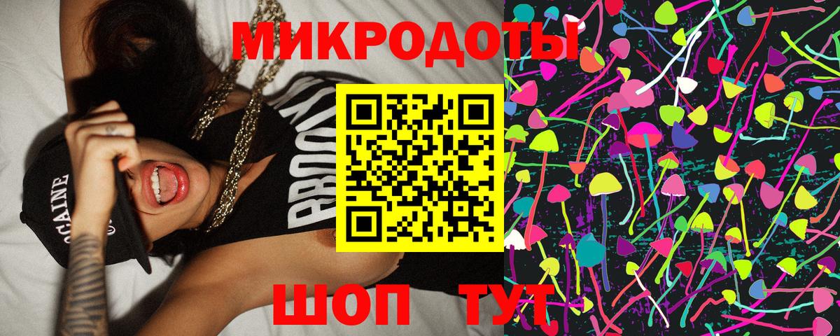 Псилоцибиновые грибы Psilocybe Пугачёв
