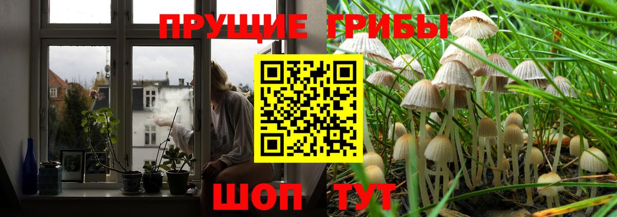 Псилоцибиновые грибы прущие грибы  Вход с VPN  Пугачёв 